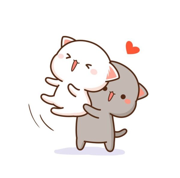 Кавайные котики любовь