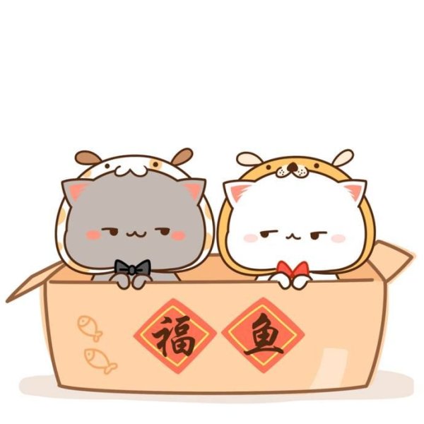 Кавай котики