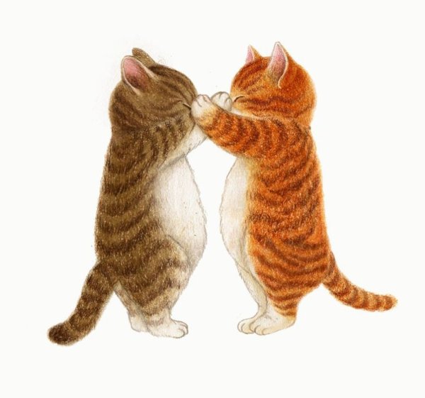 Котики обнимашки