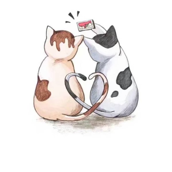 Котики любовь мультяшные