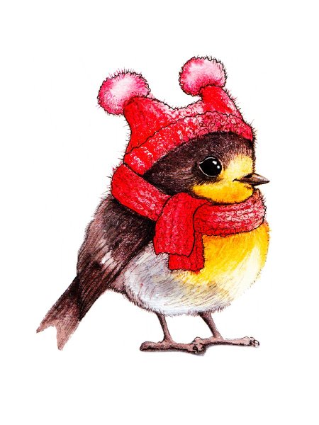 Птичка в шапочке