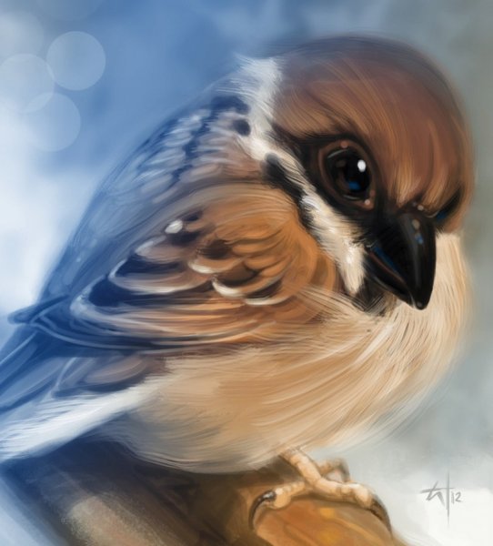 Грустный Воробушек