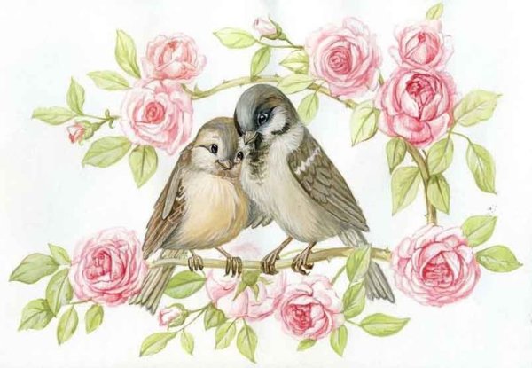 Влюбленные птички