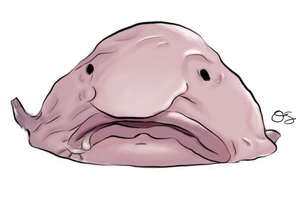 Рыба капля арт