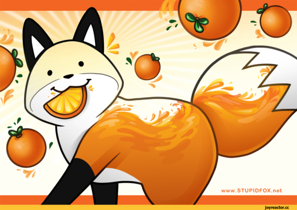 Мандариновая лиса