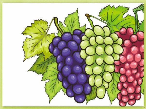 Виноград мультик