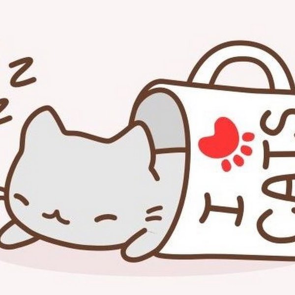 Милый котик рисунок для срисовки