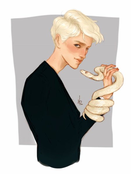 Драко Малфой книжный арт