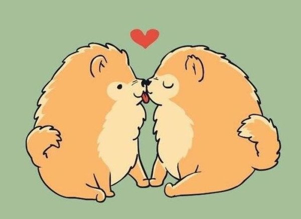 Кавайные котики парочка