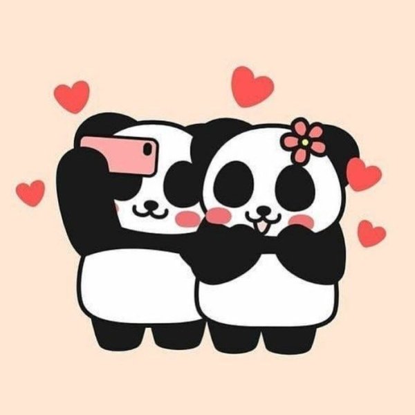 Кавайные котики парочка