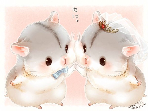 Кавайные котики любовь