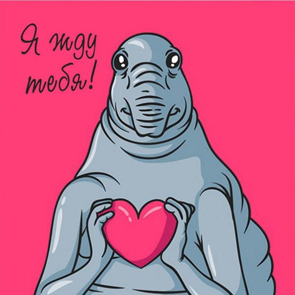 Ждун с сердцем