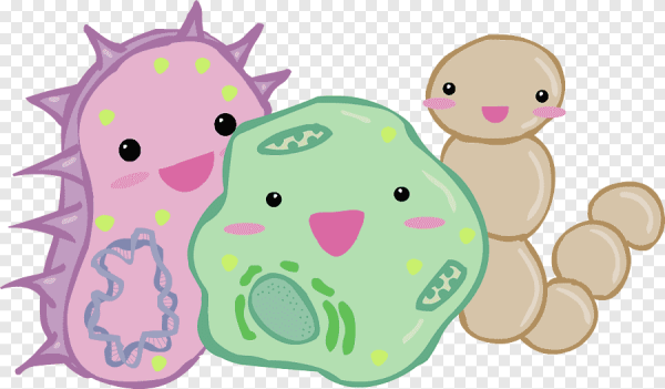 Милые микробы