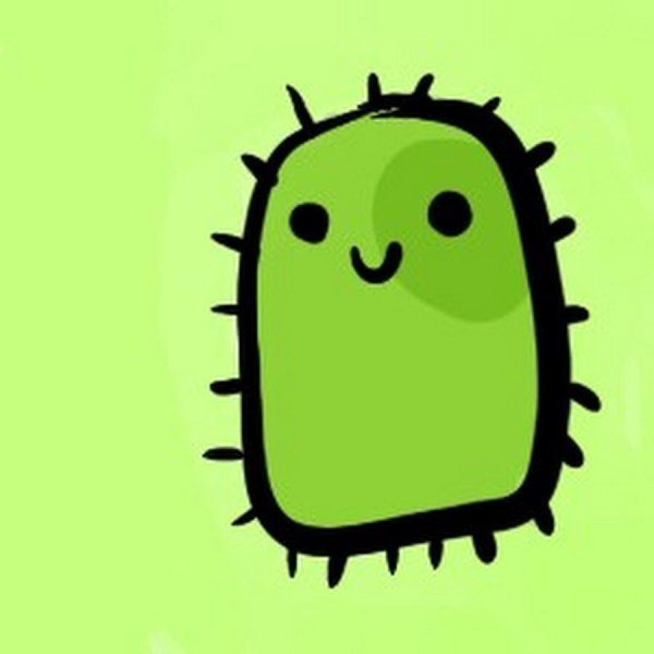 Бактерия Мем