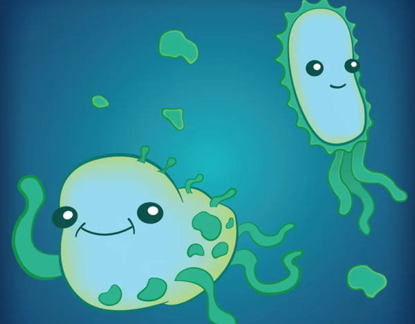 Милые бактерии