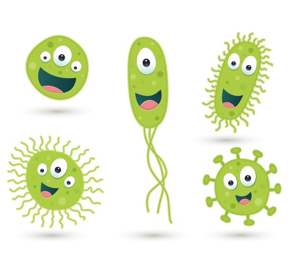 Полезные микробы для детей