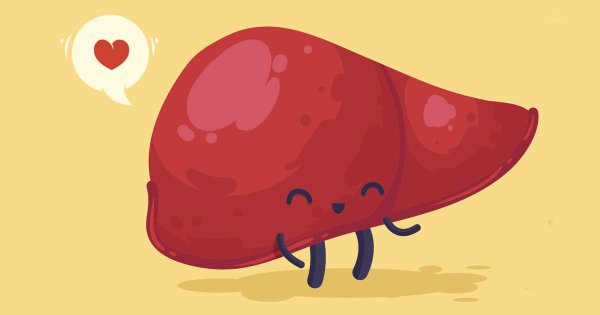 Печень улыбается