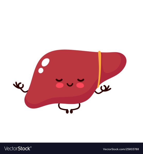 Счастливая печень