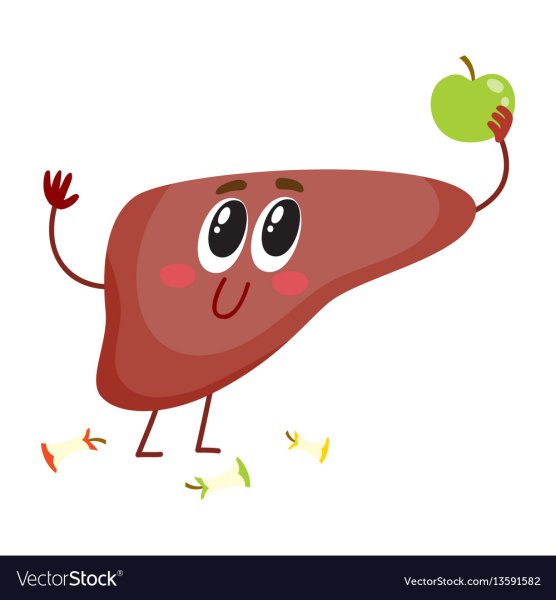 Мультяшная печень