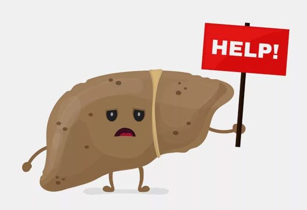 Веселая печень