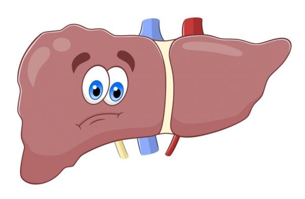 Печень больная иллюстрация
