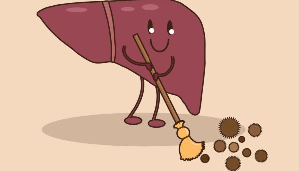 Печень карикатура