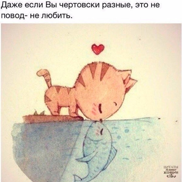 Милые рисунки с Цитатами