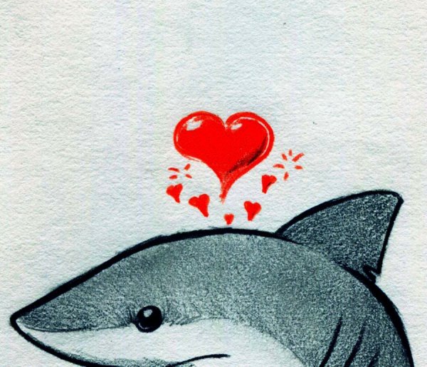 Милые акулы для срисовки