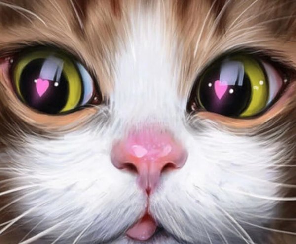 Милая мордочка кота