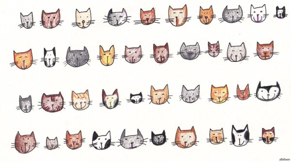 Ytcrjkmrjмультяшные котики