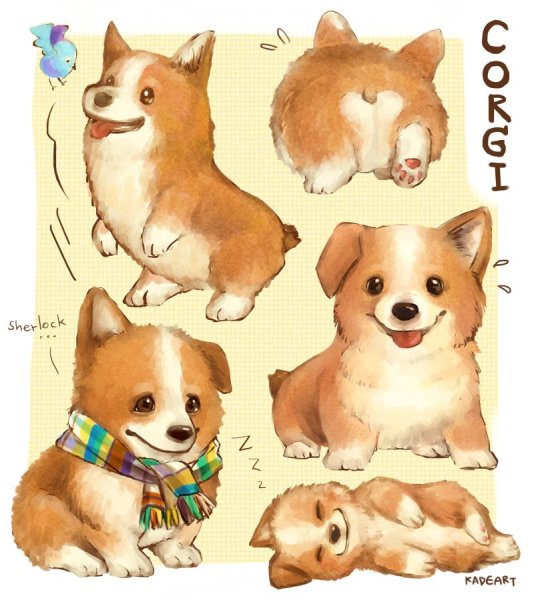 Милые собачки рисунки