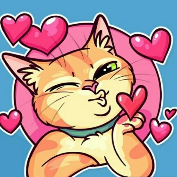 Кот с сердечками