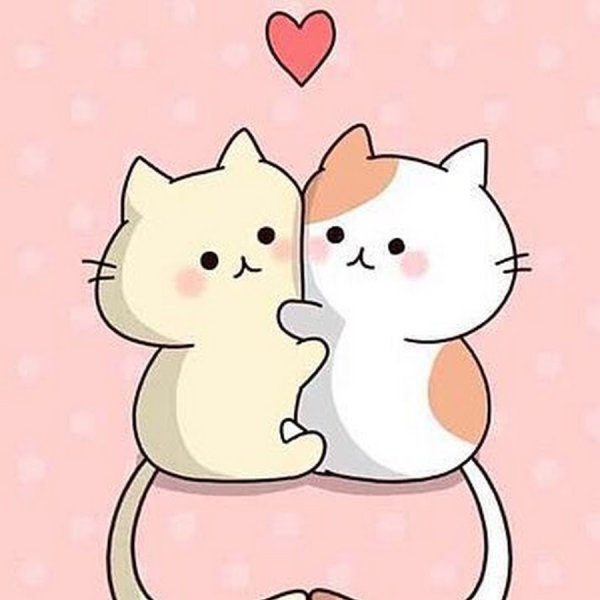 Рисунки для срисовки котики