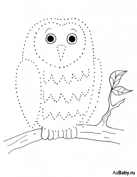 Рисование по точкам