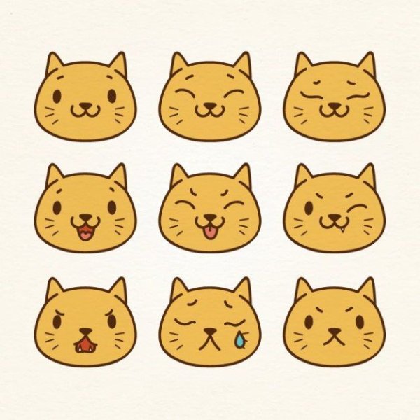 Разные мордочки котиков