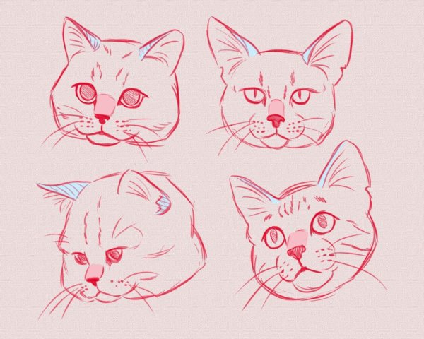 Морда кота референс