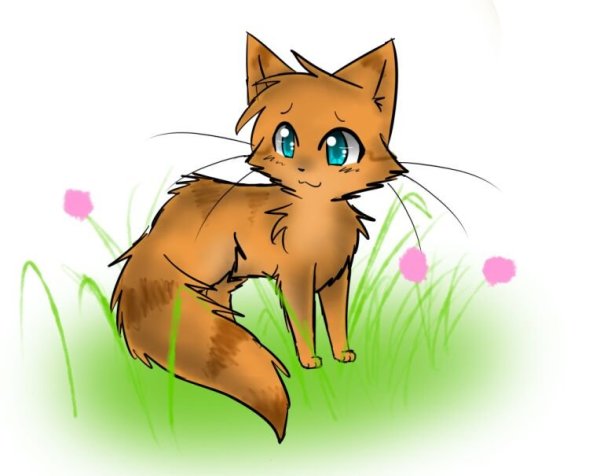 Коты Воители Рыжелапка