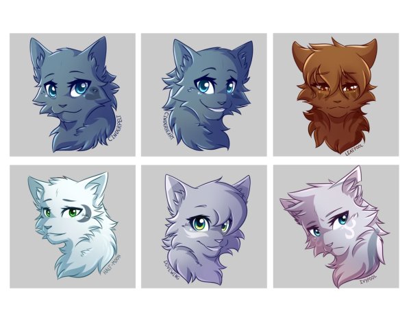 Коты Воители аниме