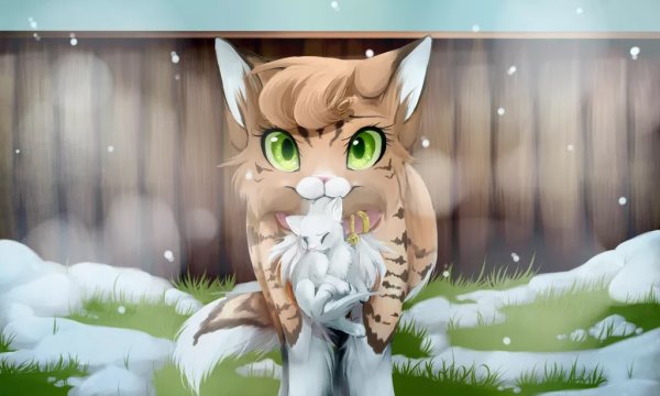 Коты Воители принцесса и белохвост