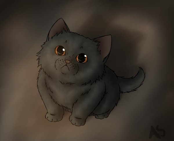 Арт коты Воители котята