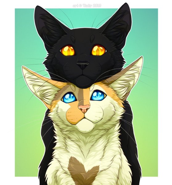 Коты Воители Воробей