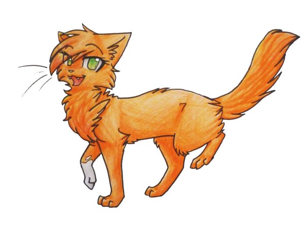 Коты Воители Крутобок