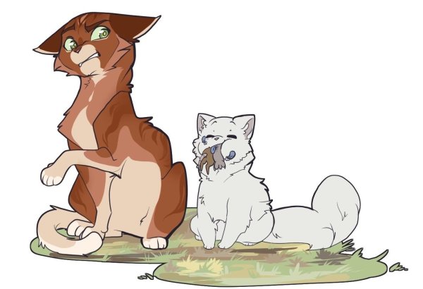 Лайн арт коты Воители