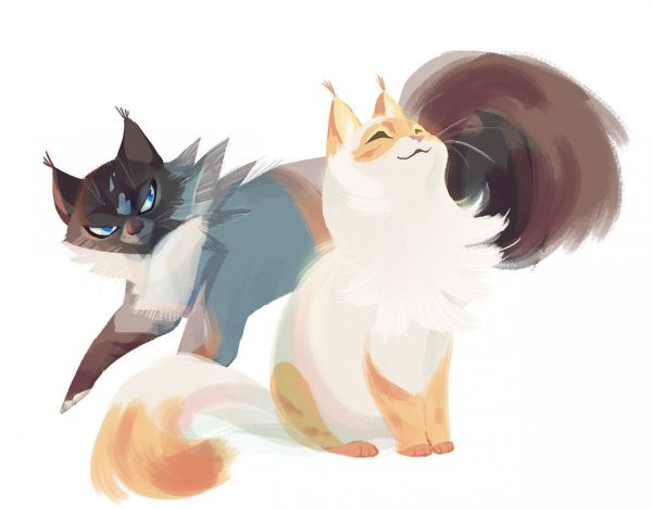 Коты Воители Kamirah