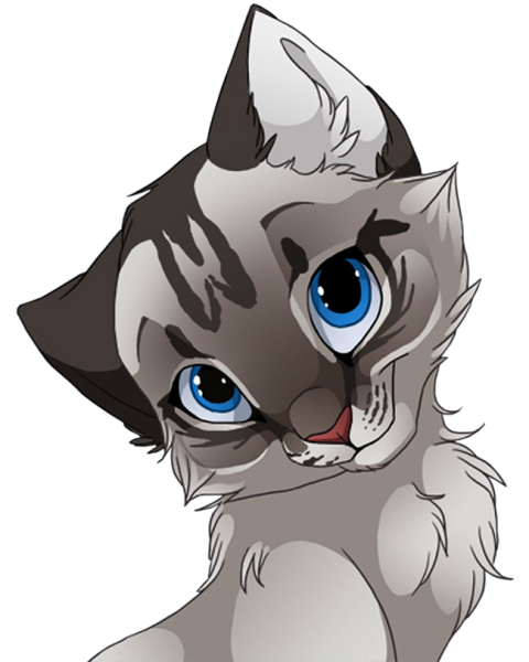 Finchwing референс коты Воители