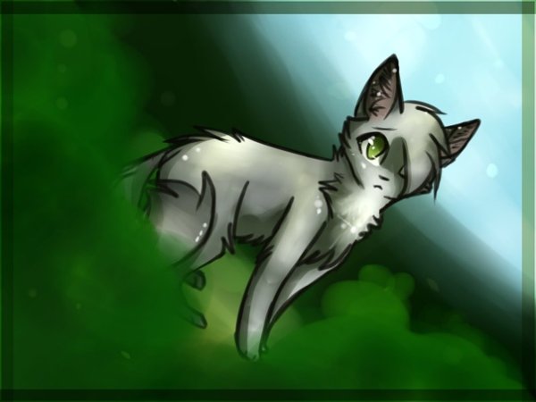 Коты Воители бурый и Медуница