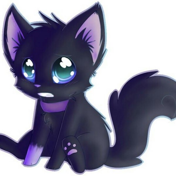 Коты Воители Щуколап