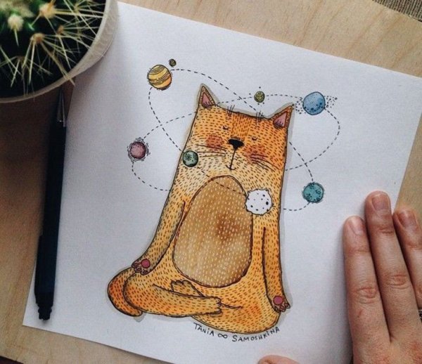 Идеи для рисунков котики