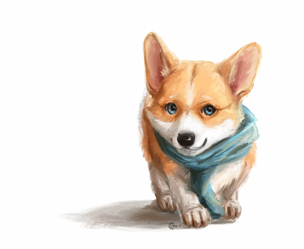 Милые собачки для рисования