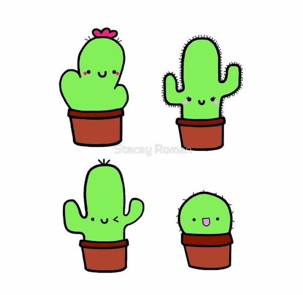 Милые кактусы